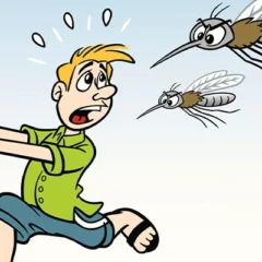 Why Certain People Attract Mosquitoes More Than Others?