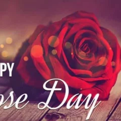 Rose Day 2023: Here Are Some Best Messages & Wishes To Share With Your Love